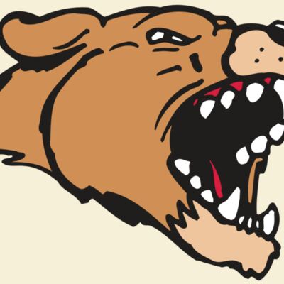 AR5 COUGAR 33 RQC Thumbnail