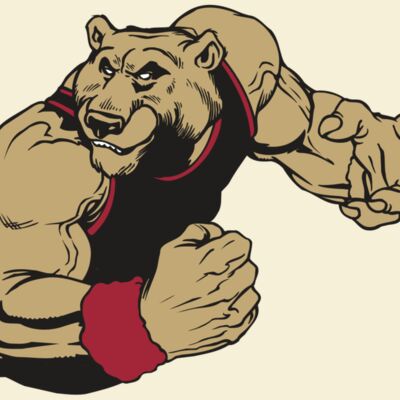 AR BEAR 40 RC Thumbnail