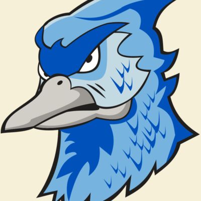BLUEJAY HD0501 RQC Thumbnail