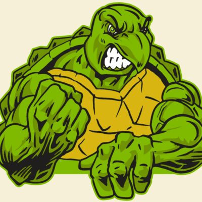 AR31 TURTLE 01 RQC Thumbnail