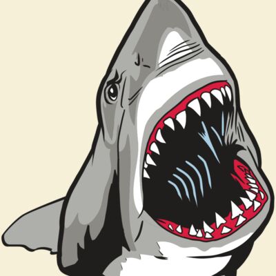 AR20 SHARK 45 RQC Thumbnail