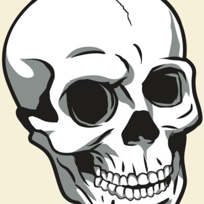 AR24 SKULL 14 RQC Thumbnail