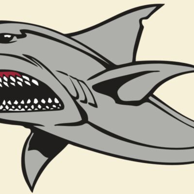 BAW SHARK 03 RC Thumbnail