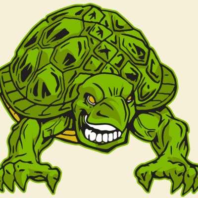 AR31 TURTLE 03 RQC Thumbnail